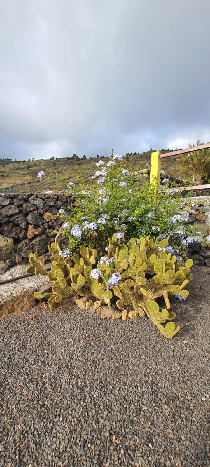 Vila Casa Domingo Simon Fuencaliente de la Palma Exteriér fotografie